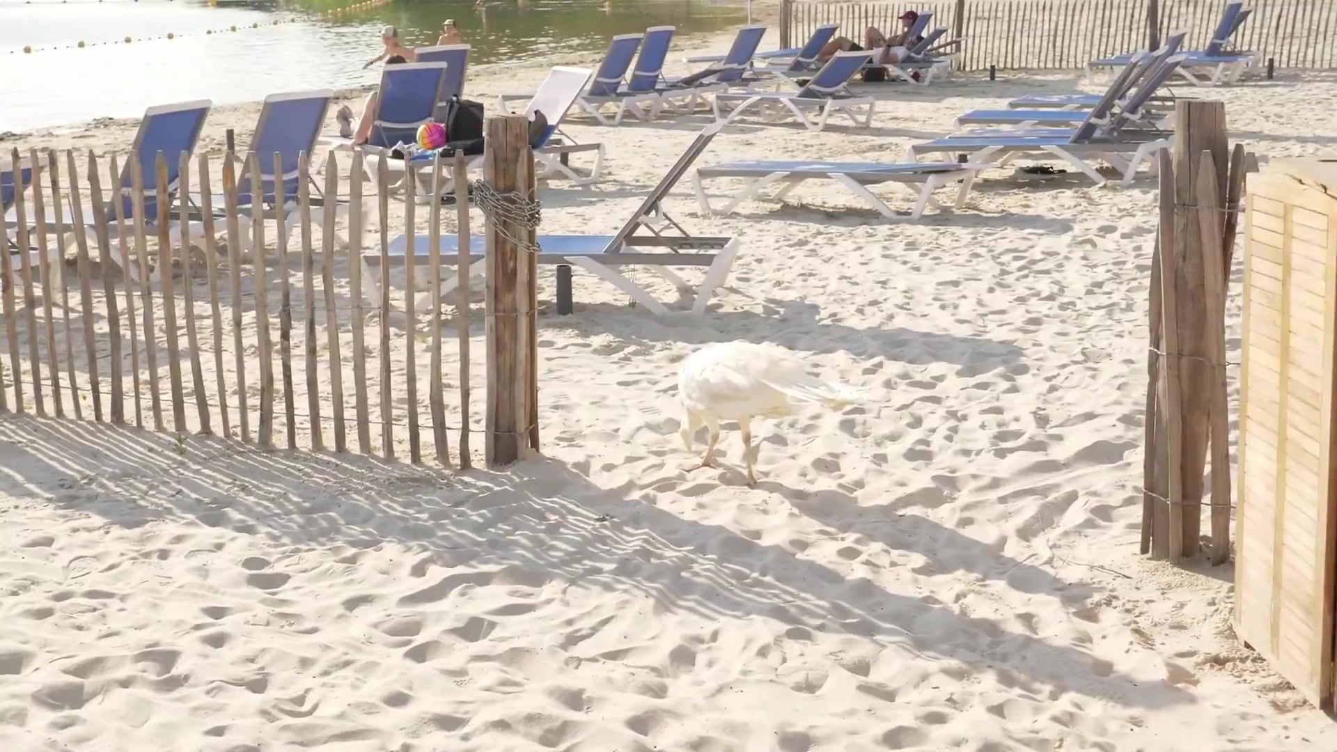 Vibrez au rythme de l'été 10